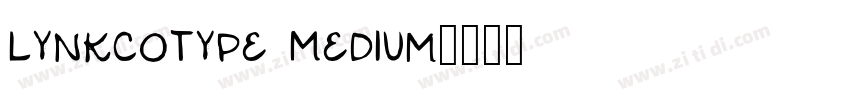 LynkcoType Medium字体转换